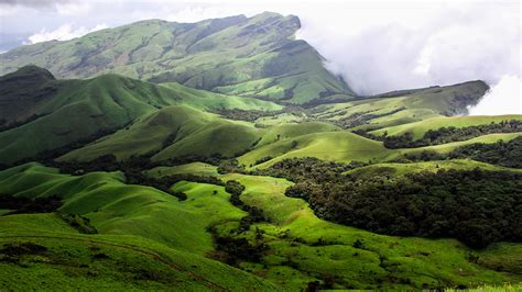 Study traces how the British ruined Western Ghats, one of India’s most unique ecosystems