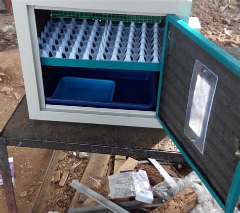 100 Quail Egg Incubator, Small Egg Incubator, मिनी एग इन्क्यूबेटर in Gandhipuram, Coimbatore ...