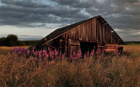 Old barn [3] wallpaper - Nature wallpapers - #43308