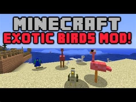 Minecraft: Peacocks, Flamingos, and More! [Exotic Birds Mod] - YouTube