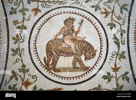 Pictures of a Roman mosaics design depicting Dionysus Riding a Panther ...