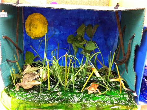 Diorama Wetland Diorama Aiguamolls My second graders job!!!! Well done | Biomes project, Biomes ...