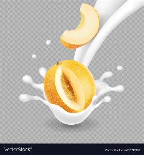 Melon and milk splash yellow honeydew slice Vector Image