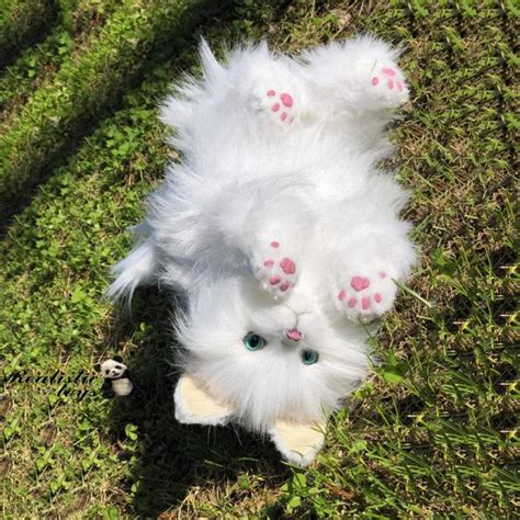 Realistic white cat toy, cat stuffed animal, kitten toy, OOAK teddy cat plush by Novoselona ...