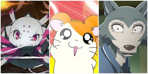 10 Best Anime With Animal Protagonists, Ranked