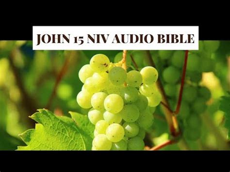 John 15 NIV AUDIO BIBLE(with text) - YouTube