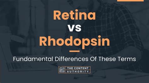 Retina vs Rhodopsin: Fundamental Differences Of These Terms