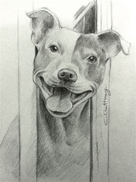 Pin by Tracie Cook on dogs stuff | Pitbull drawing, Pitbull art, Animal ...