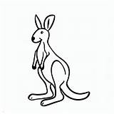 Printable Kangaroo Coloring Pages For Kids Cool2bkids sketch template