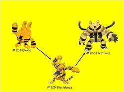 Pokemon Elekid Evolution Chart