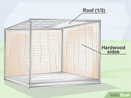 4 Ways to Set Up a Pionus Parrot Habitat - wikiHow Pet