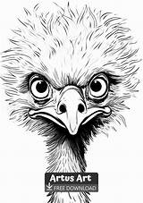 Awesome Emu Coloring Page sketch template