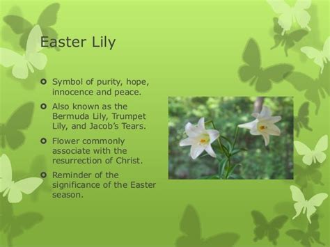 The Significance of Easter Lilies and Other Blooms