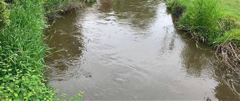 CLOCA warning of dangerous creekside conditions in Oshawa and Durham Region | insauga