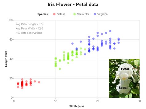 Iris Flower Data