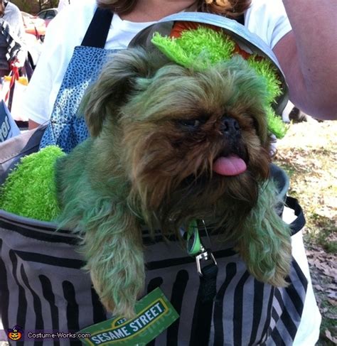 Oscar the Grouch Costume for Dogs