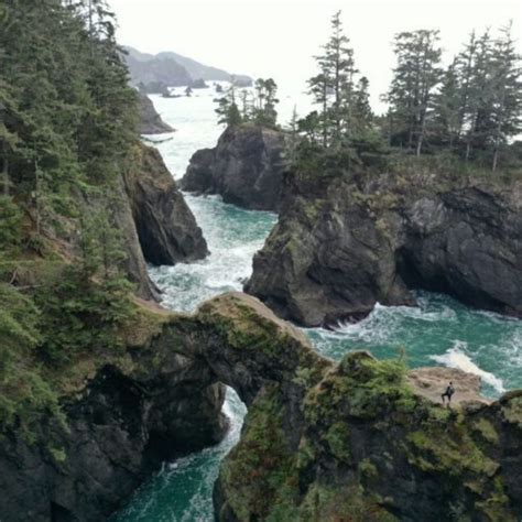 The 10 Best Day Hikes to Explore on The Oregon Coast