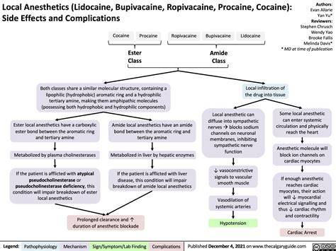 Local Anesthetics (Lidocaine, Bupivacaine, Ropivacaine, Procaine ...