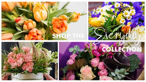 Sherwood Florist | Flower Delivery by Sherwood Florist & Every Blooming Thing