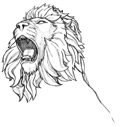 inkspired musings: Roaring like a lion? | Lion sketch, Lion head ...