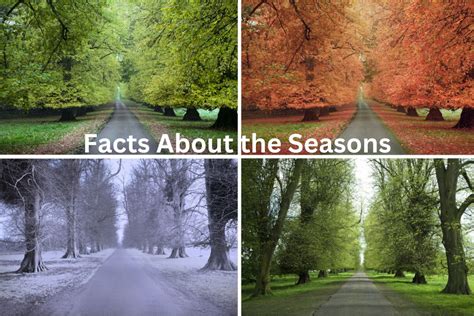 15 Facts About the Seasons - Have Fun With History