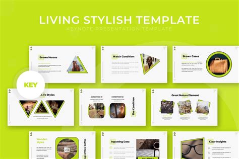 55+ Best Animated Keynote Templates 2024 - Theme Junkie