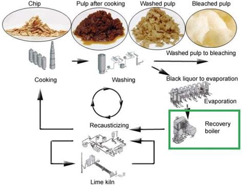 Scheme of the Kraft Process and Situation of the Modelled Recovery... | Download Scientific Diagram