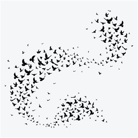 Bird Flight Patterns and Music - Video Concert and Teachers Guide for Schools - New Bedford ...