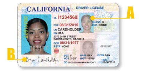 What Your CA Driver's License Looks Like | California DMV Practice Test