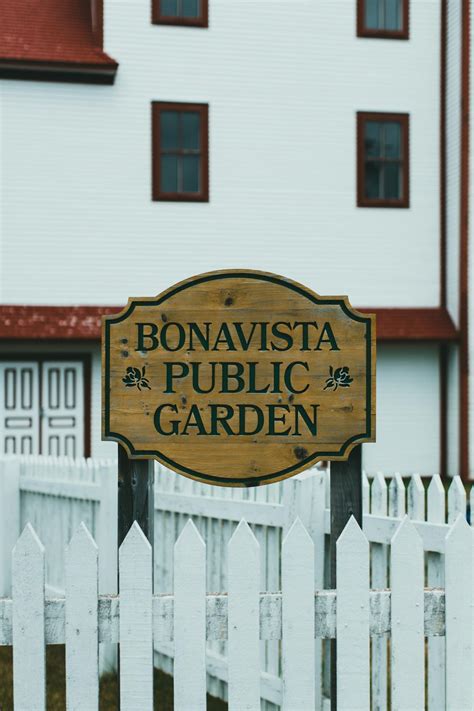 Bonavista Photos, Download The BEST Free Bonavista Stock Photos & HD Images