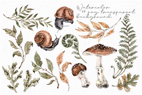 Forest plants and snails watercolor | Watercolor illustration, Botanical drawings, Plant drawing