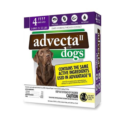 5 Best Flea Dip for dogs : Keeping Fleas Away