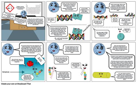 Translation and transcription Storyboard par 73151870