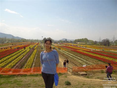 TULIP FESTIVAL KASHMIR | GARDENING FOR BEGINNERS