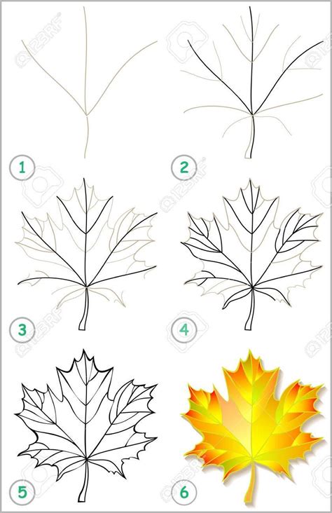 How To Draw A Maple Leaf Easy | EASY DRAWING STEP