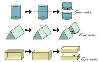 Difference between Section and Cross Section | Section vs Cross Section