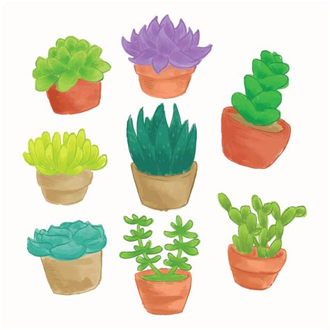 Succulents Watercolor 184632 Vector Art at Vecteezy