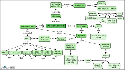 Gr 9 - Ch 5 - Digestive system | A SUMMARY concept map of th… | Flickr