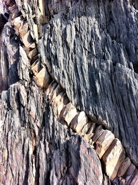 Disco Heaven (msugeology: MSU geology students examine...) | Sedimentary rocks, Geology, Geology ...