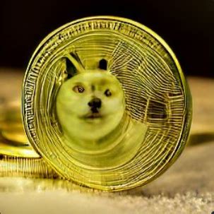 Doge Coin Memes - Imgflip