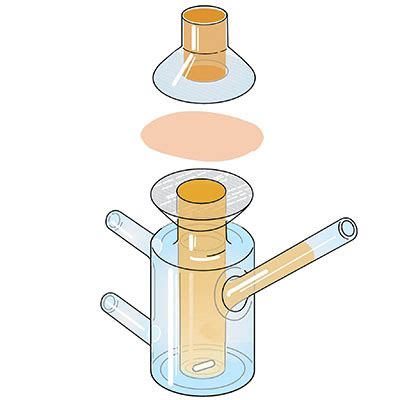 Skin Permeation Test (Franz Cell Technique) | Nawah Scientific