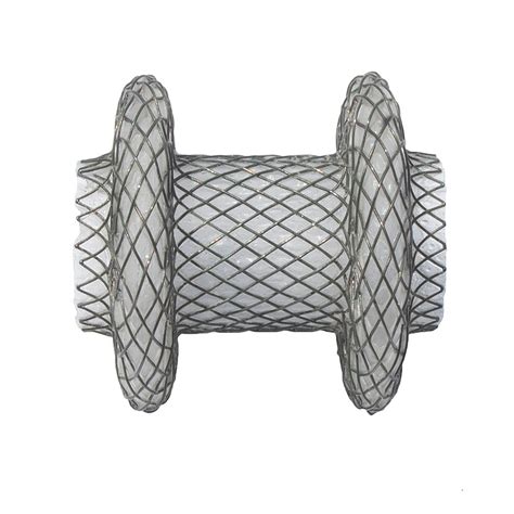 Hot AXIOS Stent and Delivery System - Boston Scientific