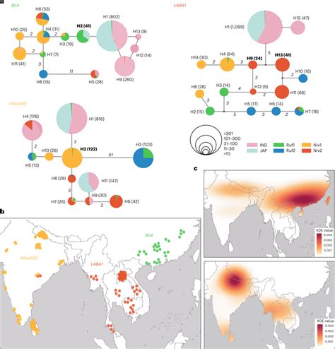 Inference of origins of domestication alleles based on haplotype... | Download Scientific Diagram