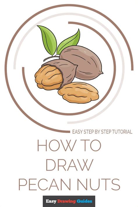 How to Draw Pecan Nuts - Really Easy Drawing Tutorial in 2021 | Drawing ...