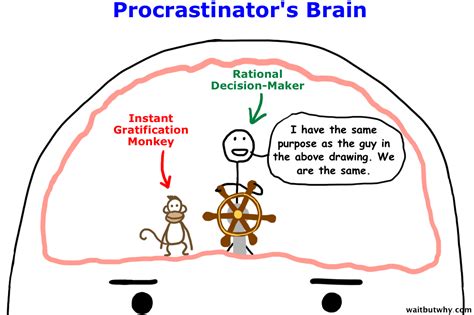 Procrastination and Preferences - Real learning, for a change