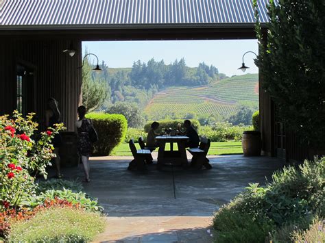 Gorgeous picnic spot at Dutcher Crossing Winery of Dry Creek Valley ...