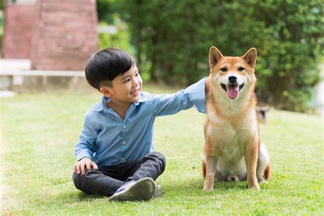 Nuôi thú cưng tại Nhật và những điều bạn nên biết - tsunagu Local