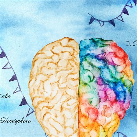 Anatomy Art Brain Neuroscience Art Anatomy Wall Art Brain - Etsy