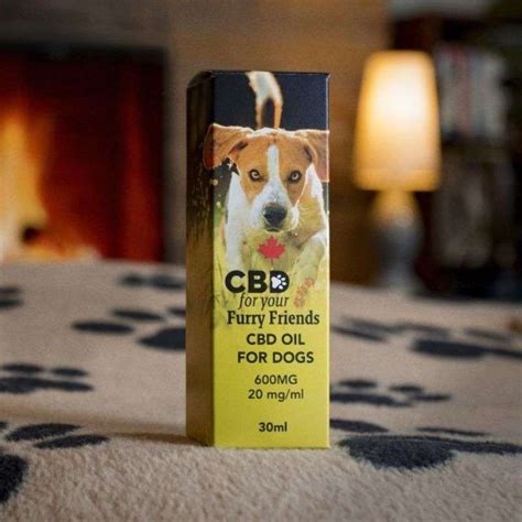 Premium 600mg CBD Oil for Dogs – FTZ Productions Canada