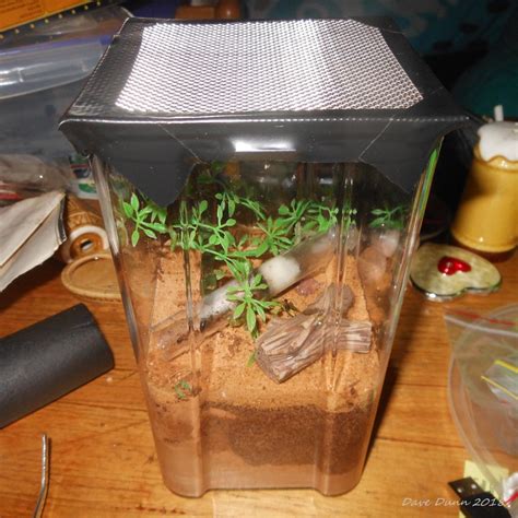 Formicarium DIY Try #1 - General Ant Keeping - Ants & Myrmecology Forum